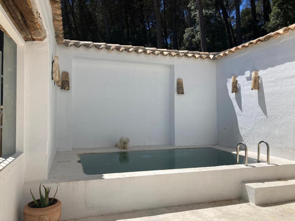 Losguachos_ * Villalgordo del Jucar